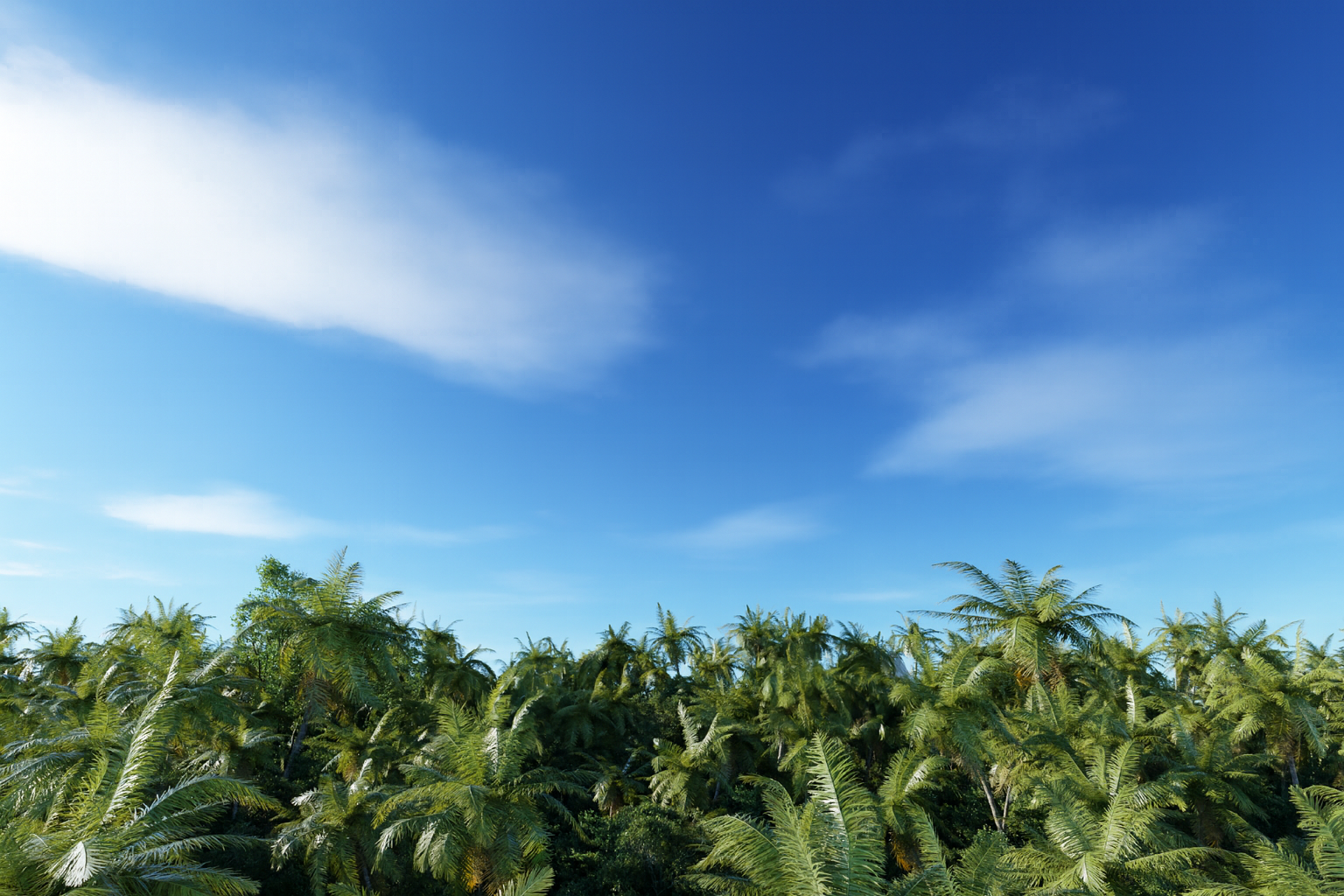 ADRIATIQUE PRESENT X Zamna Tulum